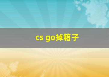 cs go掉箱子